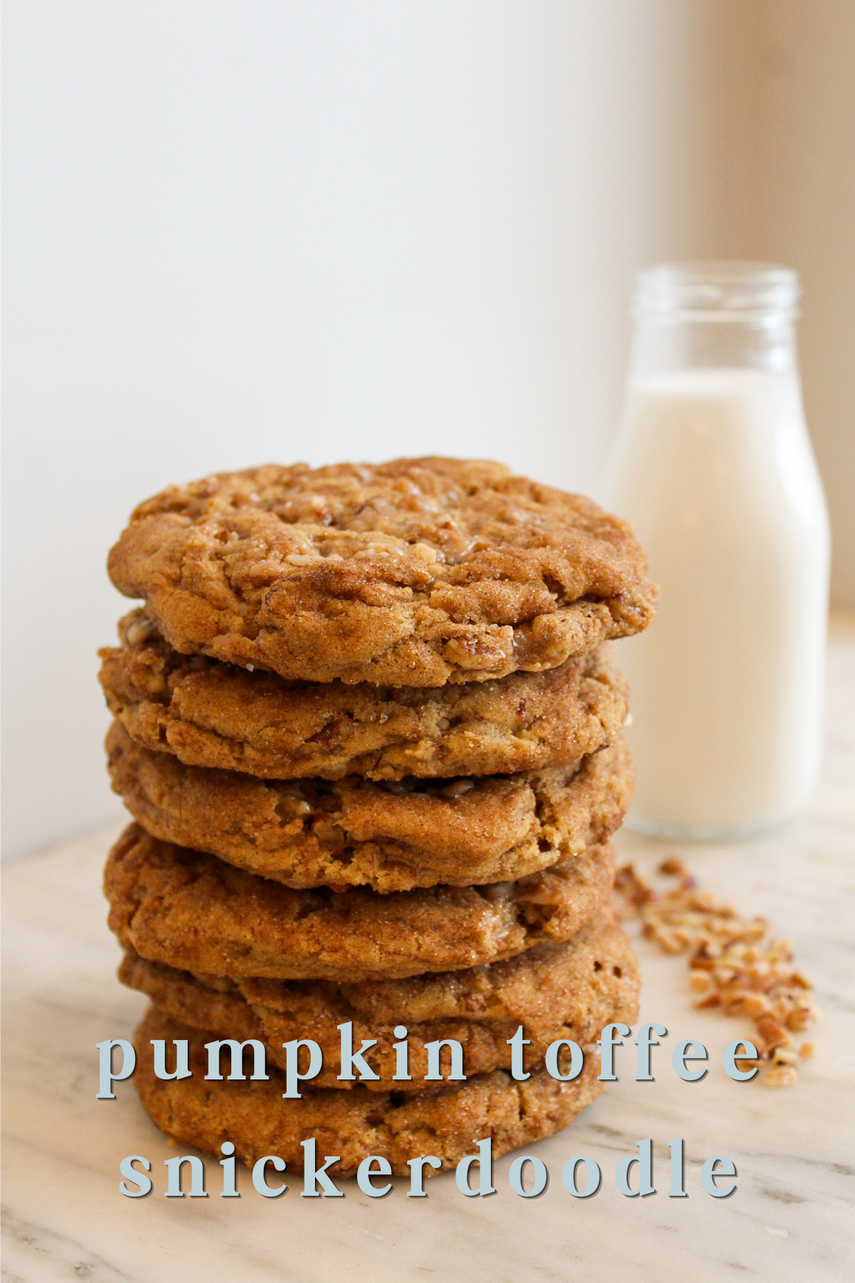 Choose Your Own Fall Cookie Box (2 cookies total)