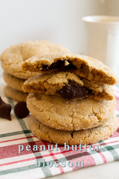 Choose Your Own Christmas Cookie Box (2 cookies total)