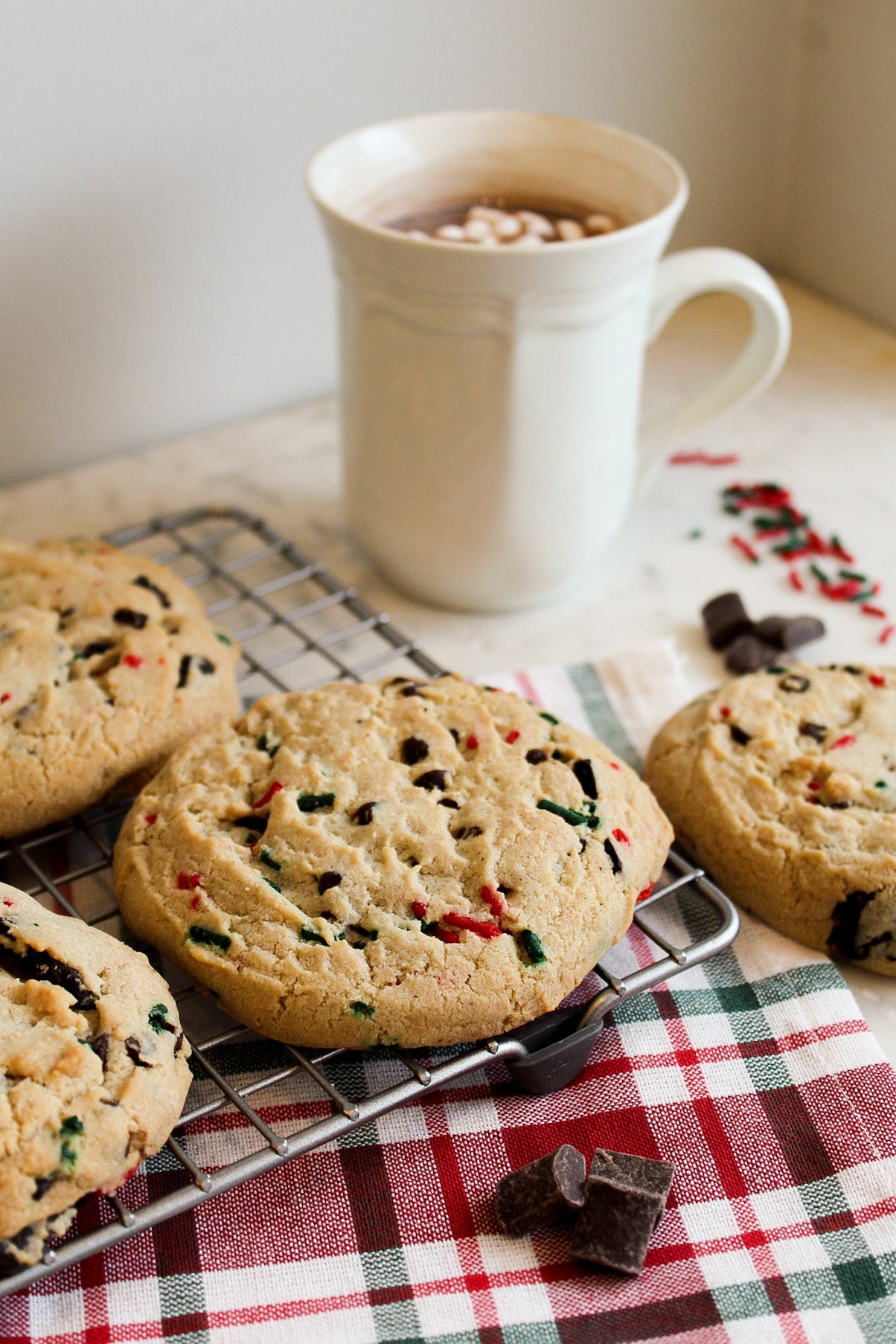 Christmas Chocolate Chip