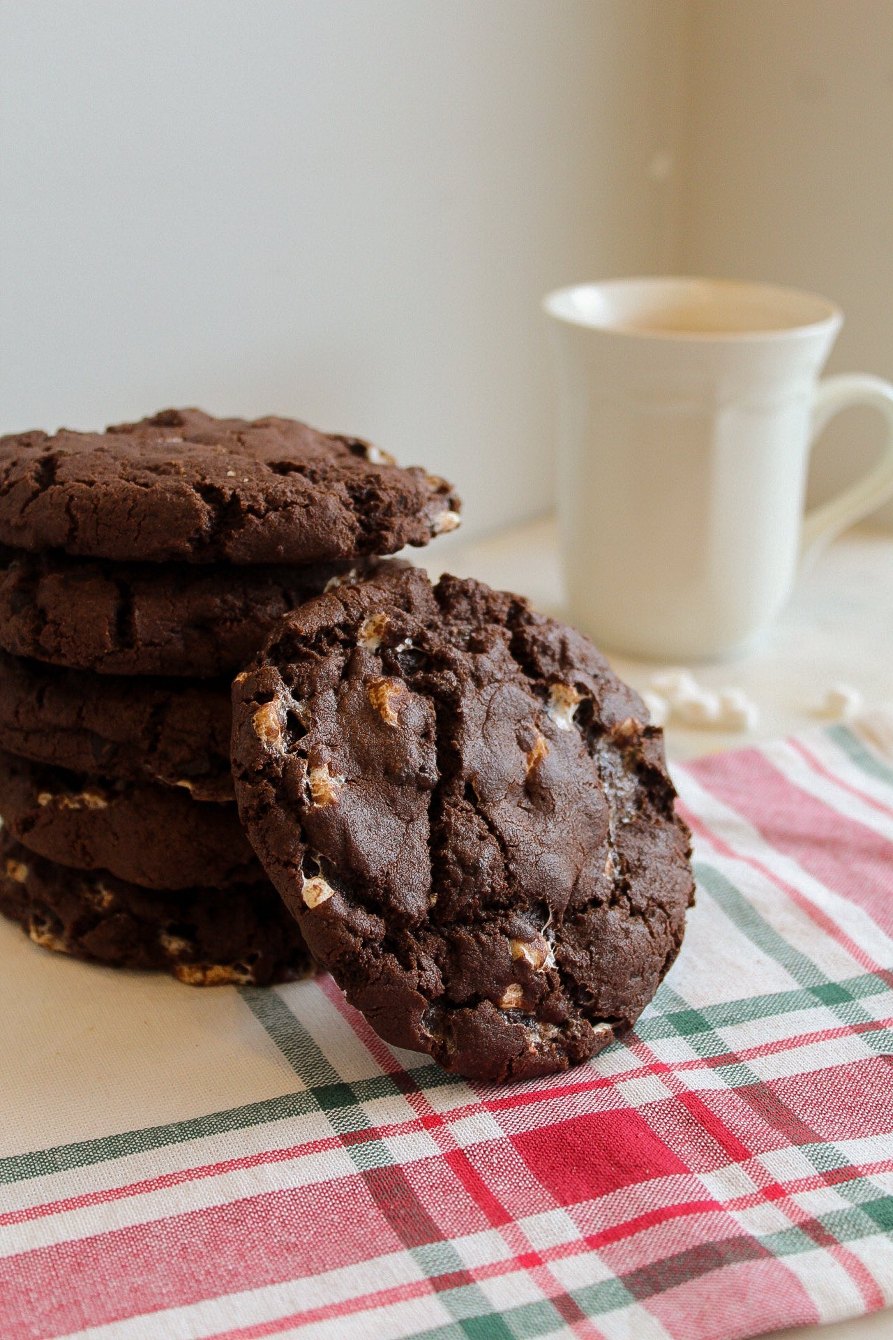 Christmas Cookie Box